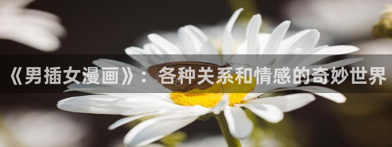 斗罗大陆漫画奇漫屋下拉式漫画：《男插女漫画》：各种关系和情感的奇妙世界