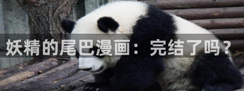奇漫屋免费漫：妖精的尾巴漫画：完结了吗？