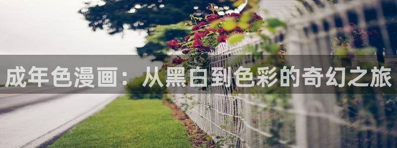 似锦漫画下拉式奇漫屋：成年色漫画：从黑白到色彩的奇幻之旅