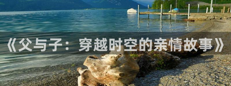 我是大神仙漫画下拉式奇漫屋：《父与子：穿越时空的亲情故事》