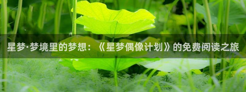 下载奇漫屋：星梦·梦境里的梦想：《星梦偶像计划》的免费阅读之旅