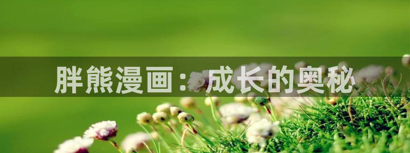 漫画奇漫屋：胖熊漫画：成长的奥秘