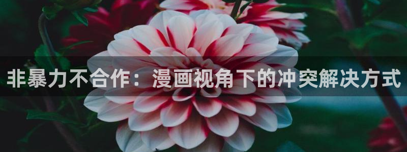 漫画奇漫屋：非暴力不合作：漫画视角下的冲突解决方式